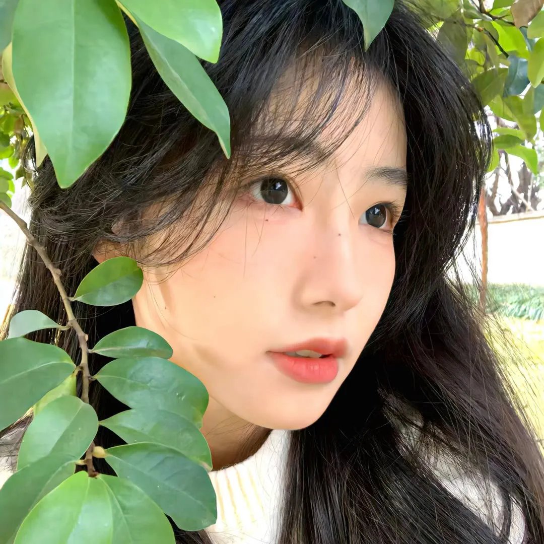 月下琴心